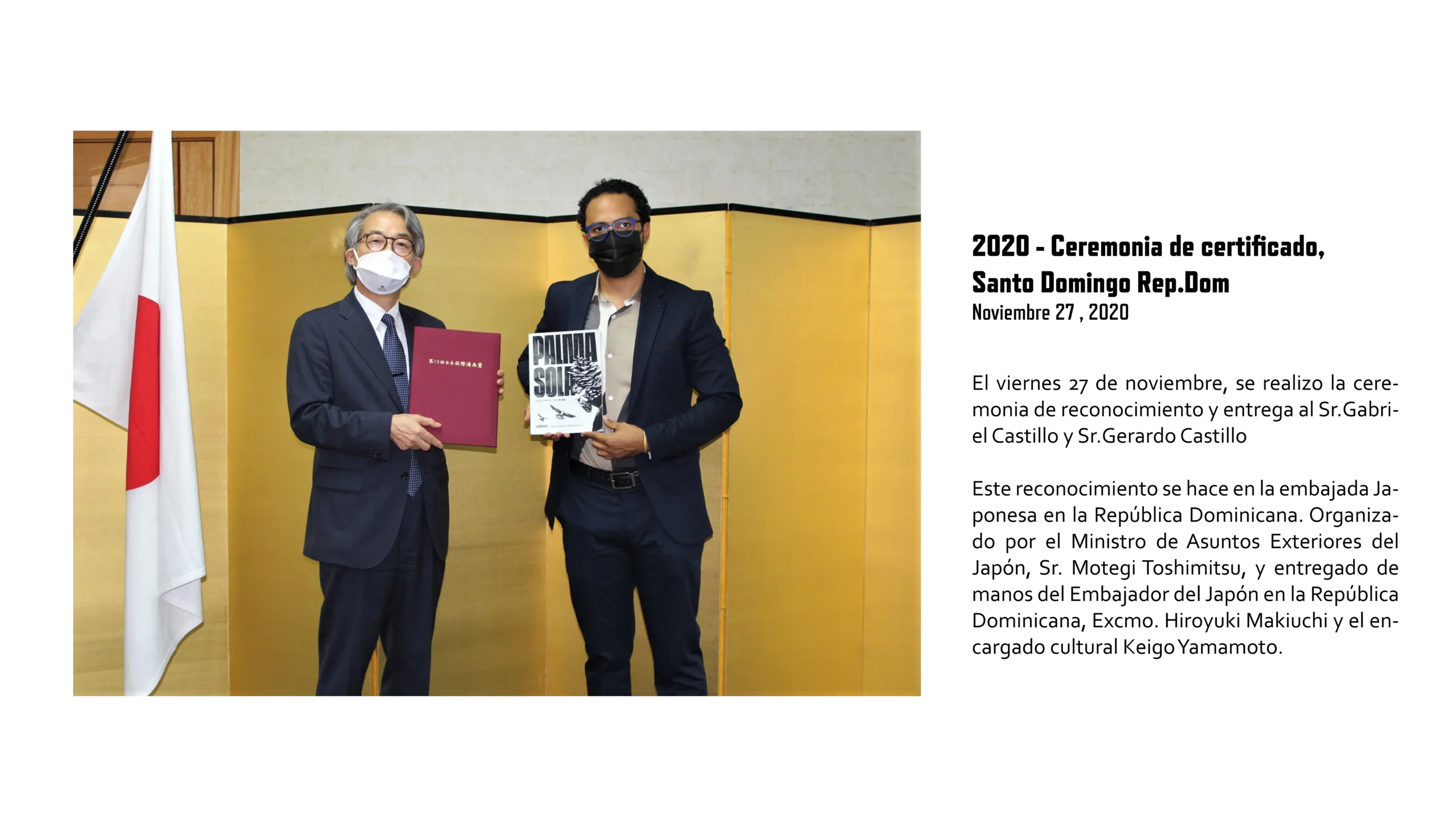 Historia LiteVisual 2020