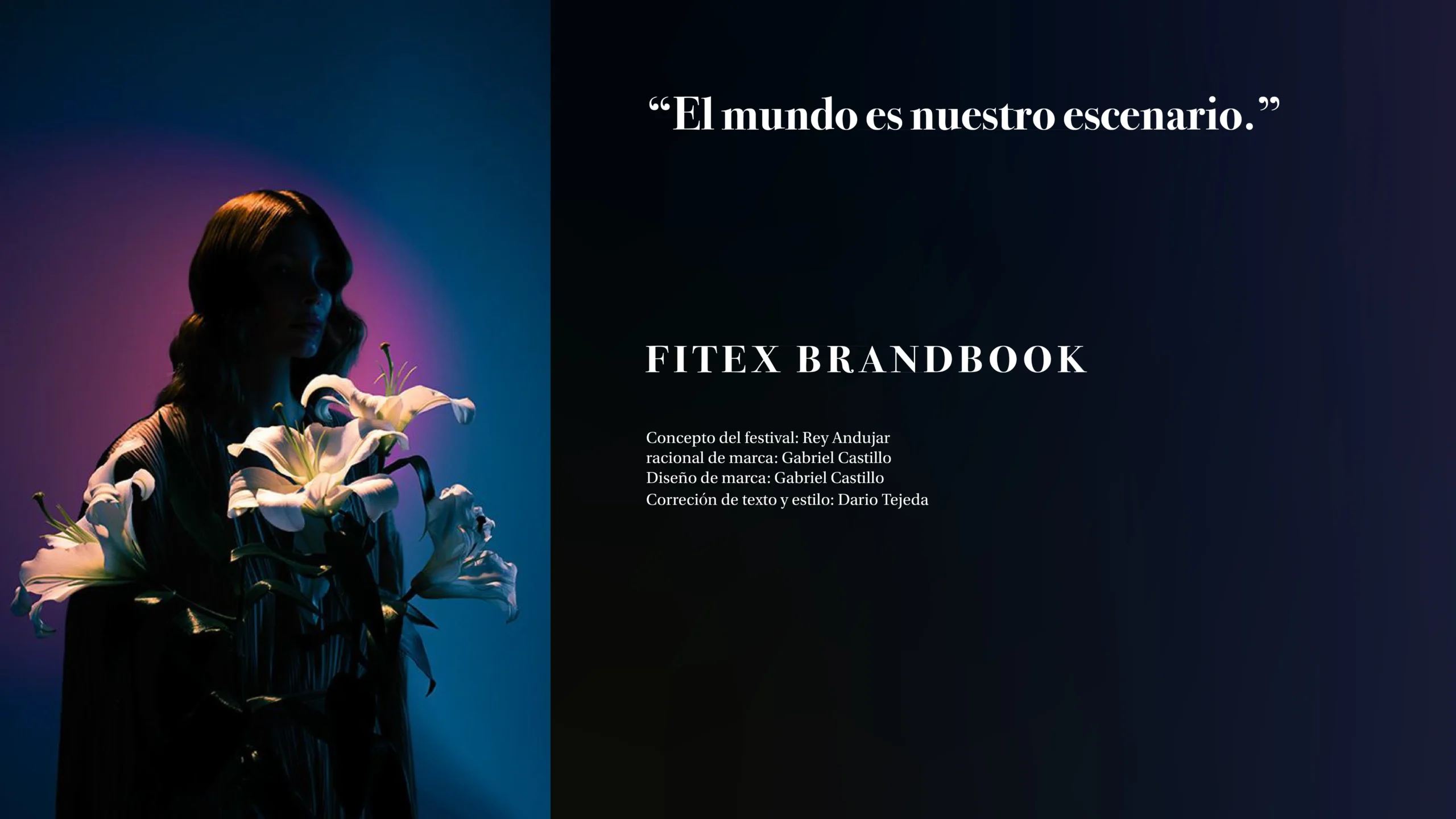FITEX — proyecto de diseño gráfico 13